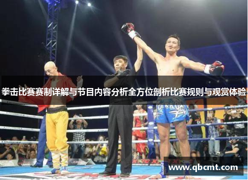 拳击比赛赛制详解与节目内容分析全方位剖析比赛规则与观赏体验